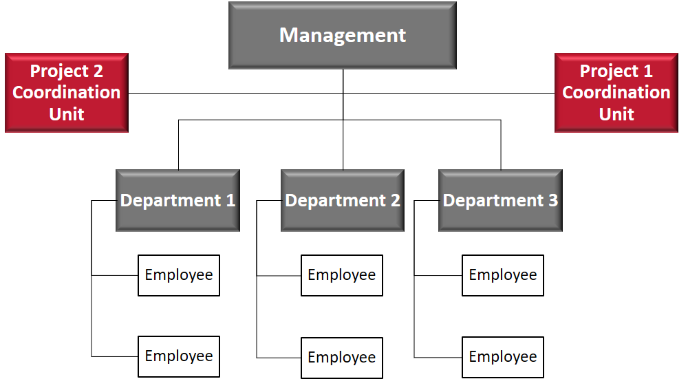 In the functional project organisation the project team members stay in their staff position.