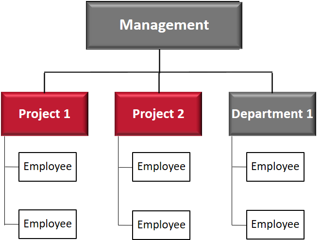 In a pure project organisation the project manager is also the disciplinary superior of the project team members.