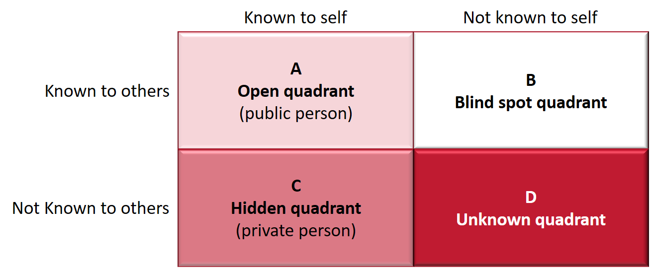 The Johari window visualises the different stages of team development by self- and external perception.